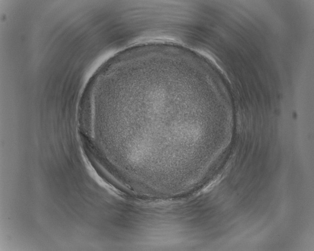 X0000074281038200609151847