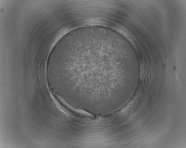 X0000074281039200609151847