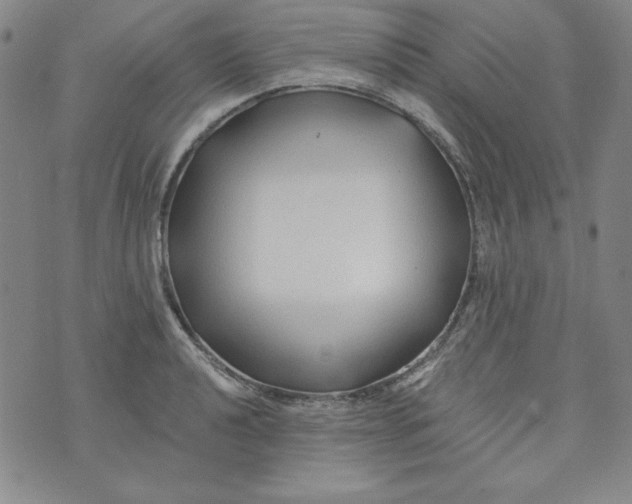 X0000074281040200609151847