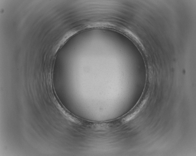 X0000074281041200609151847