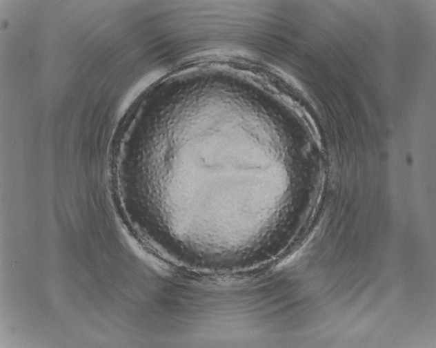 X0000074281042200609151847