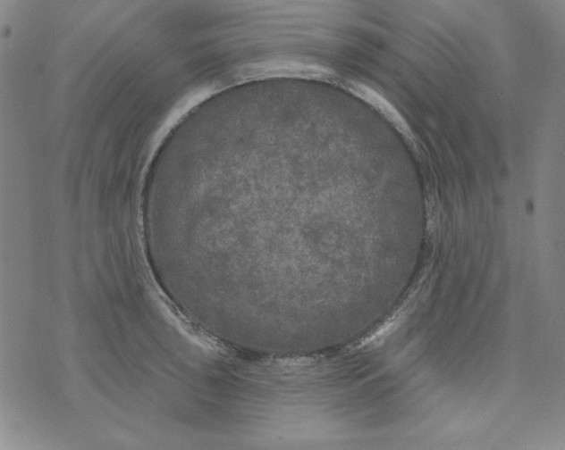 X0000074281043200609151847