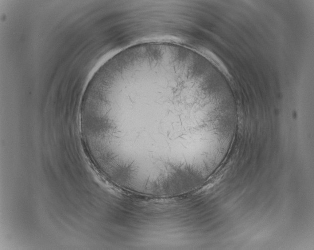 X0000074281044200609151847