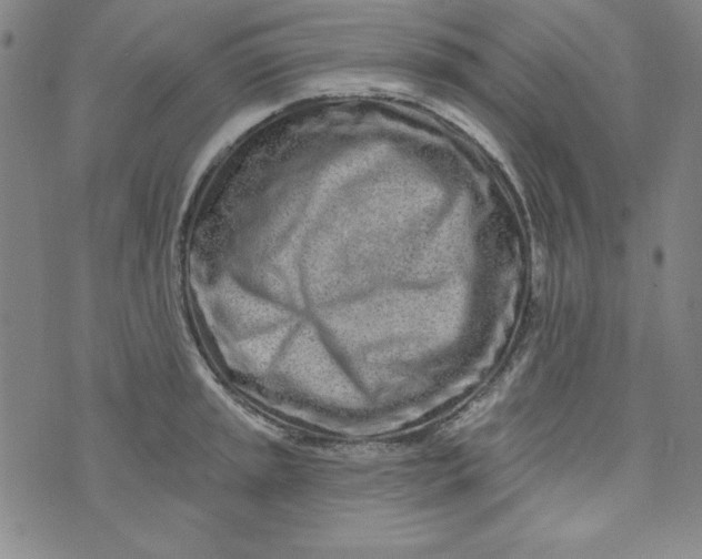 X0000074281045200609151847