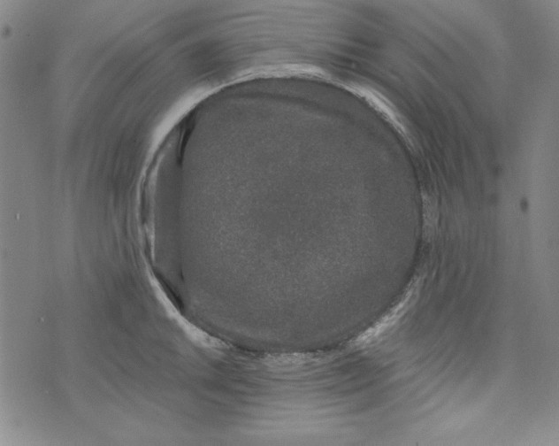 X0000074281046200609151847