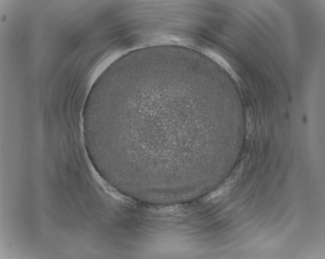 X0000074281047200609151847