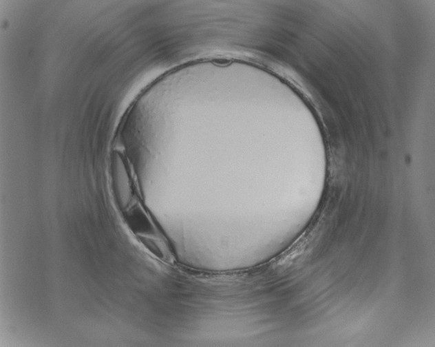 X0000074281048200609151847