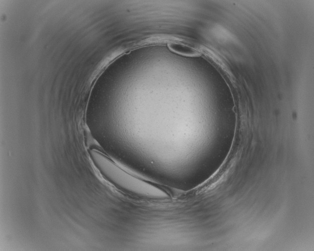 X0000074281049200609151847