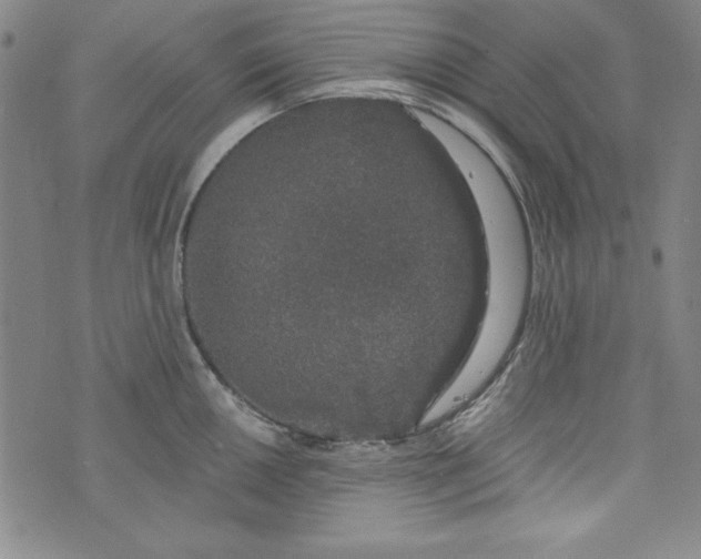 X0000074281050200609151847