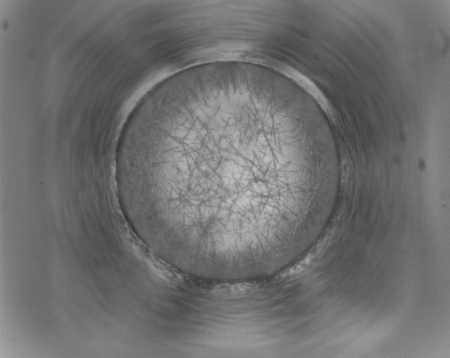 X0000074281051200609151847