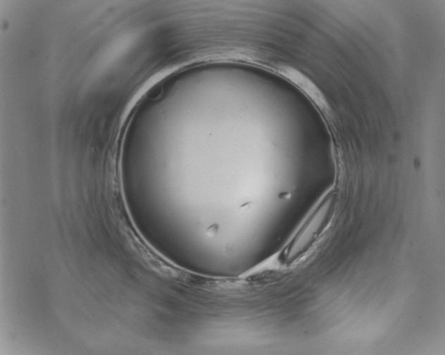 X0000074281052200609151847