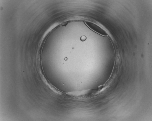 X0000074281053200609151847