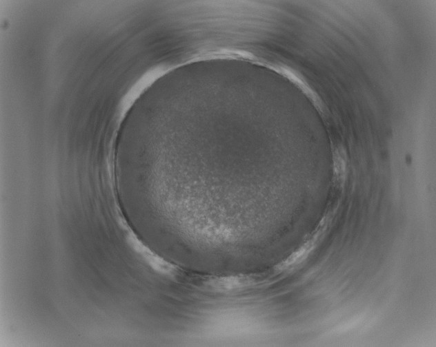 X0000074281054200609151847