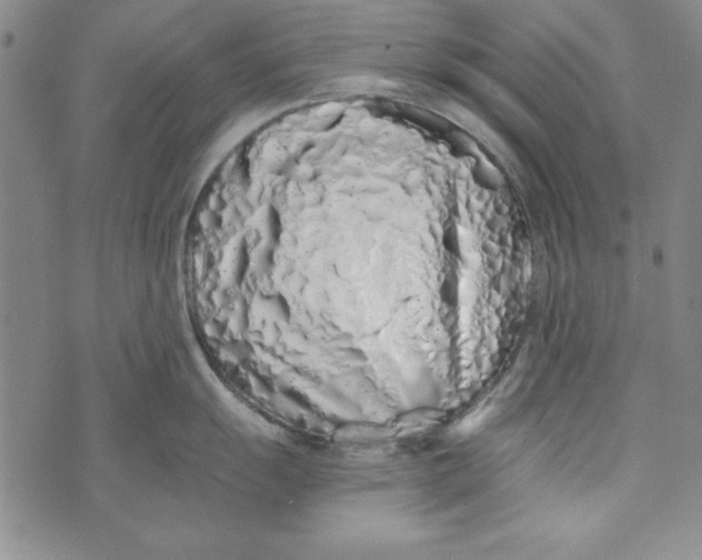 X0000074281055200609151847