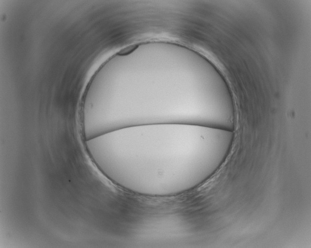 X0000074281056200609151847