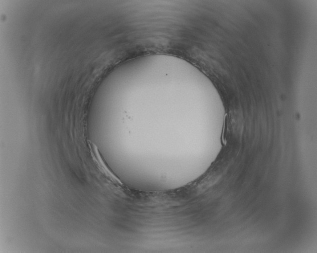 X0000074281057200609151846