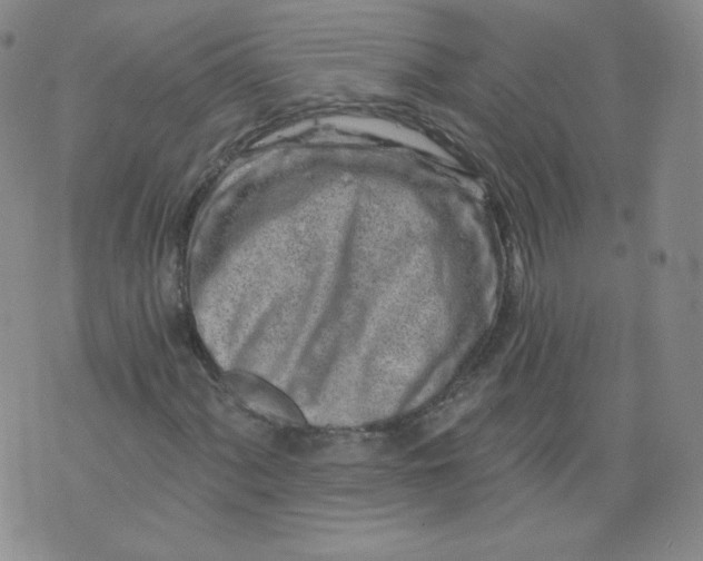 X0000074281060200609151846