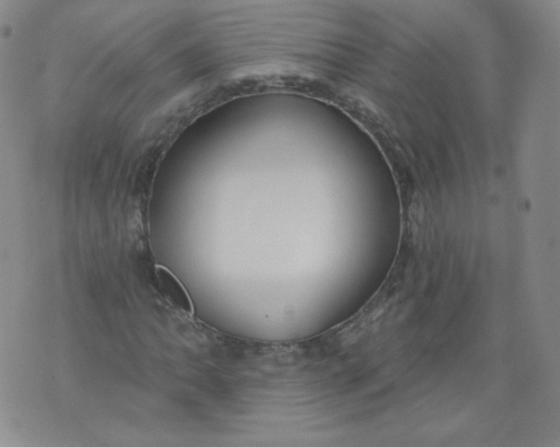 X0000074281062200609151846