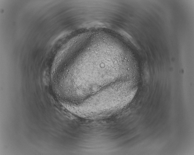 X0000074281063200609151846