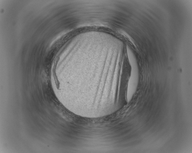 X0000074281064200609151846