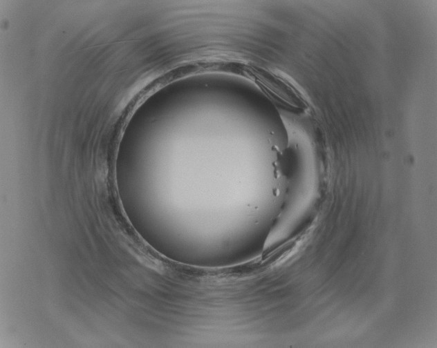 X0000074281065200609151846