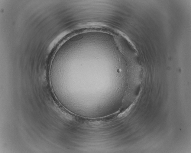 X0000074281066200609151846