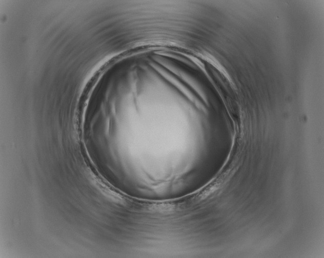 X0000074281068200609151846