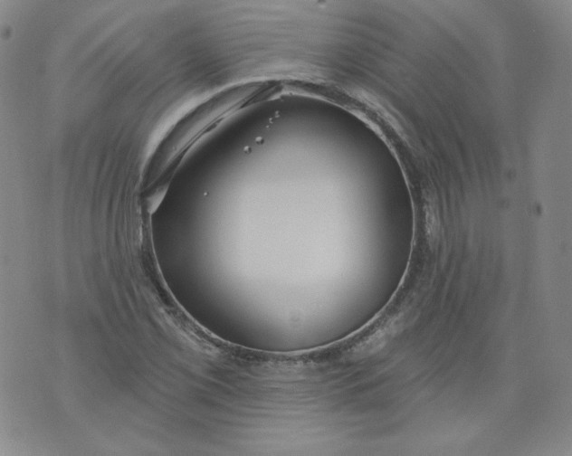 X0000074281069200609151846