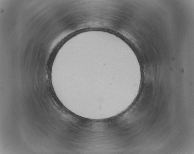 X0000074281070200609151846