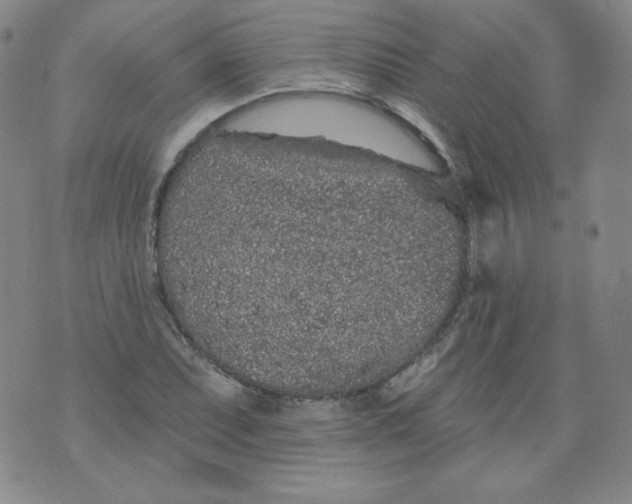 X0000074281071200609151846