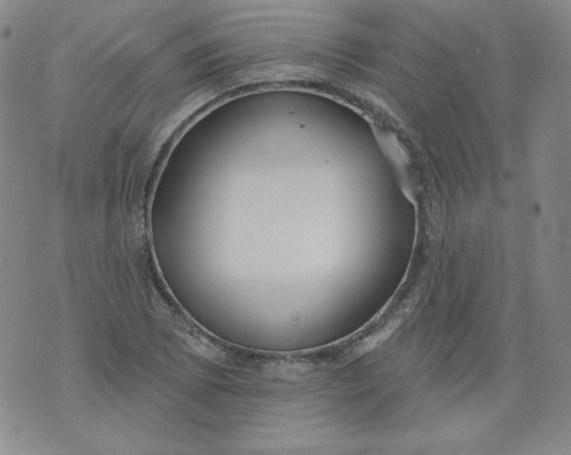 X0000074281073200609151846