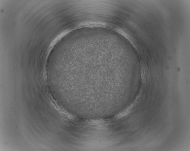 X0000074281074200609151846