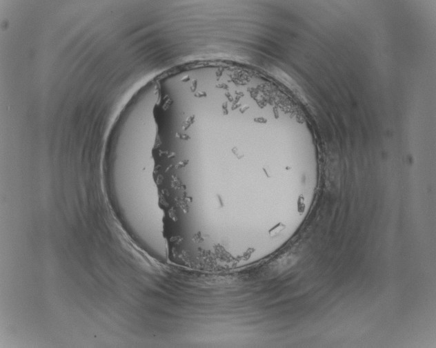 X0000074281076200609151846