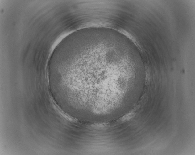 X0000074281078200609151846