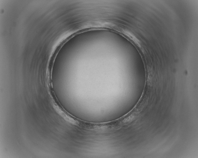 X0000074281080200609151846