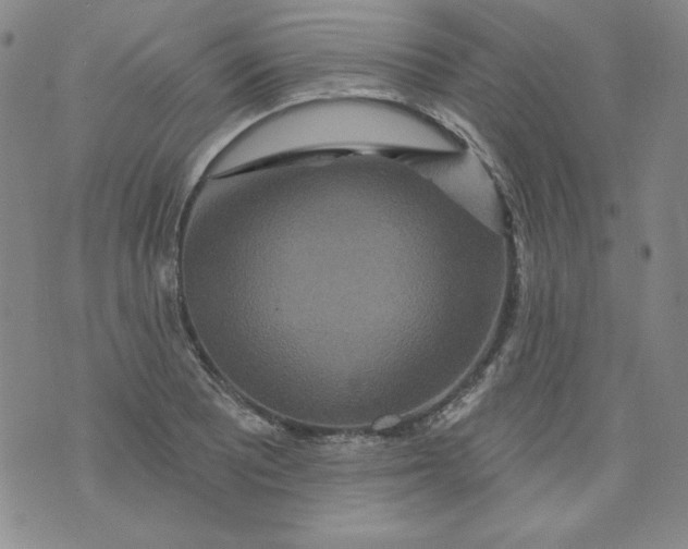 X0000074281081200609151846