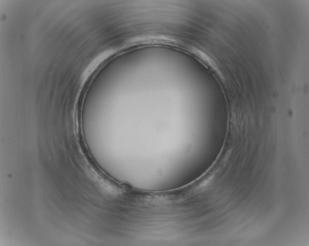 X0000074281082200609151846