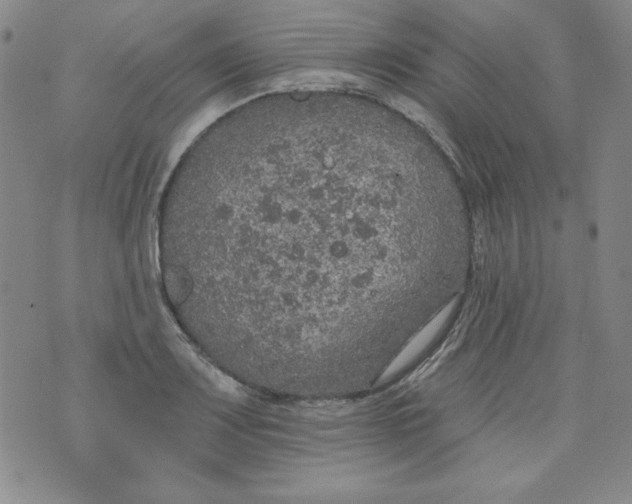 X0000074281083200609151846