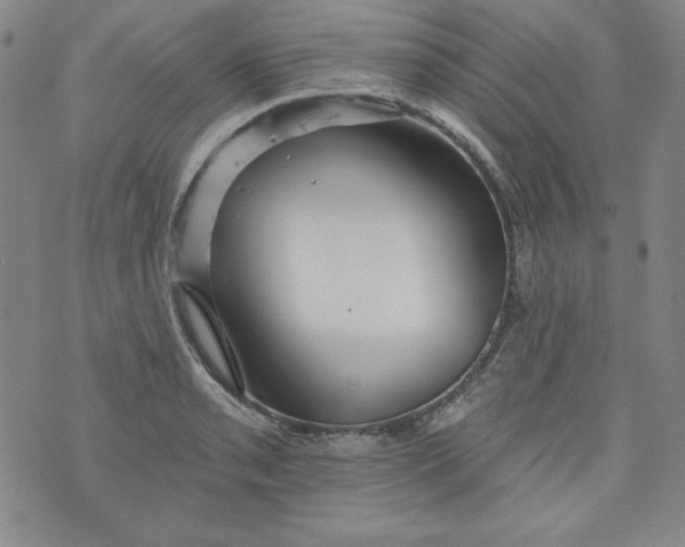 X0000074281085200609151846