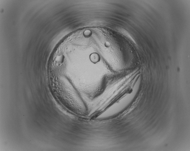 X0000074281087200609151846