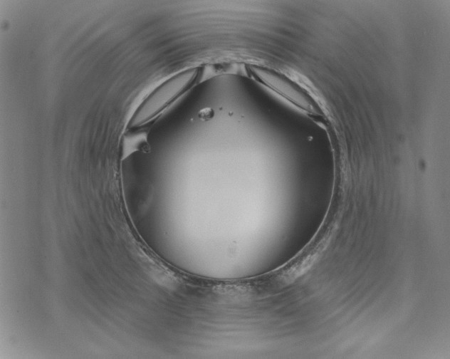 X0000074281089200609151846