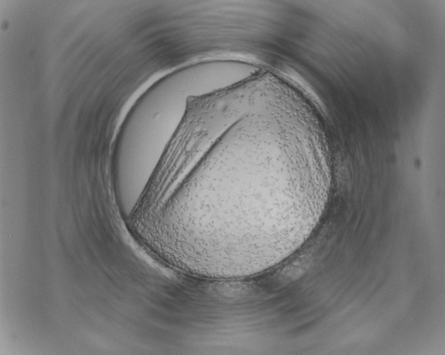 X0000074281092200609151846