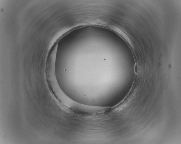 X0000074281093200609151846