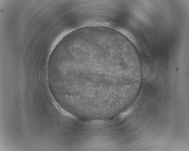 X0000074281094200609151846