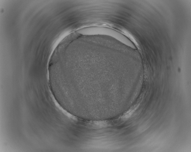 X0000074281095200609151846