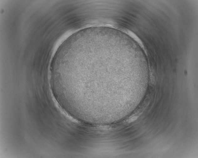 X0000074281096200609151846