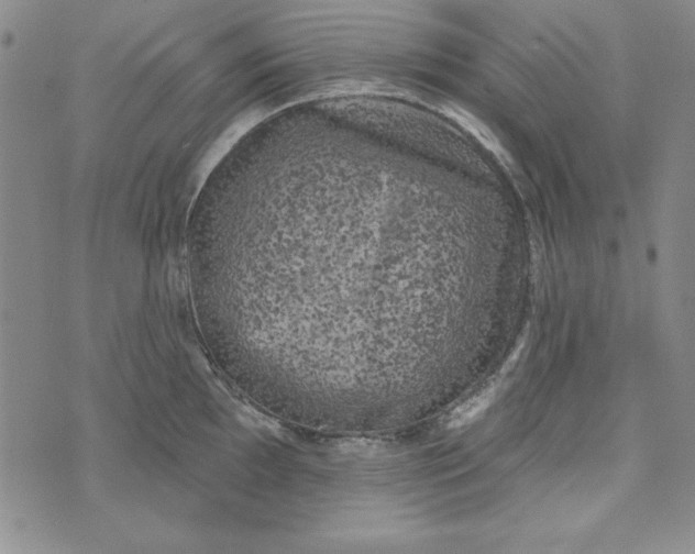 X0000074281097200609151846