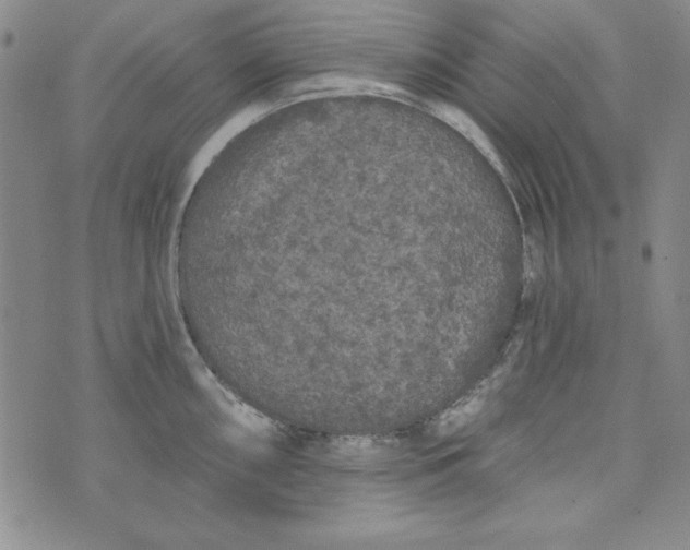 X0000074281098200609151846