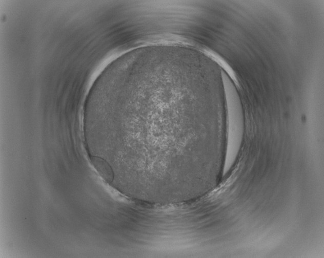 X0000074281099200609151846