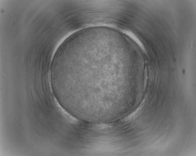 X0000074281100200609151846